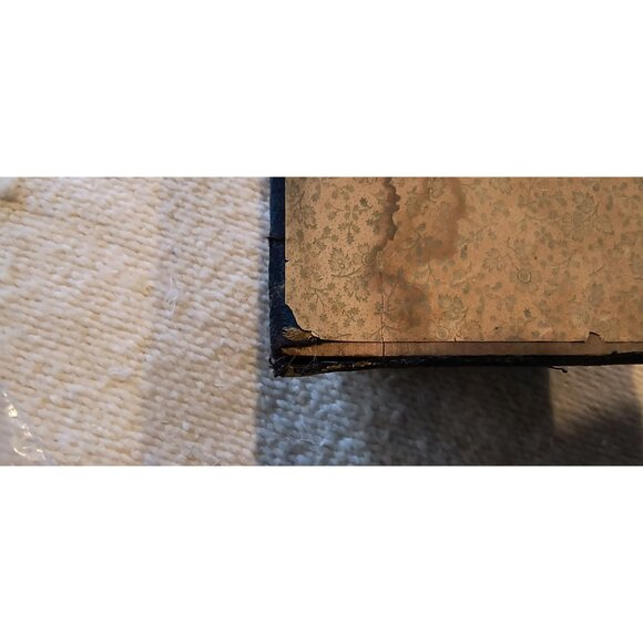 Antique Victorian Art Nouveau Pressed Celluloid & Velvet Brush/Comb Storage Box - Picture 8 of 8